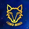 lobo_mma1997