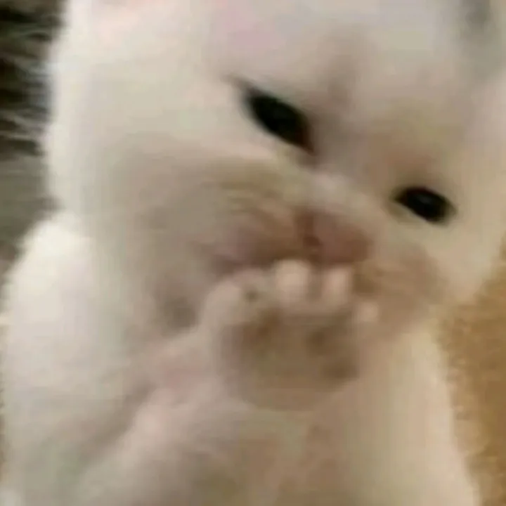 li_li1432