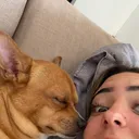 @maayagc