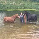 @charlotte.equestr