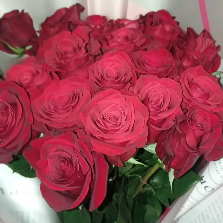 @nastenka.......32