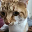 @voiceactwithme