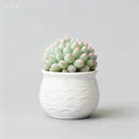 @zhangyi535