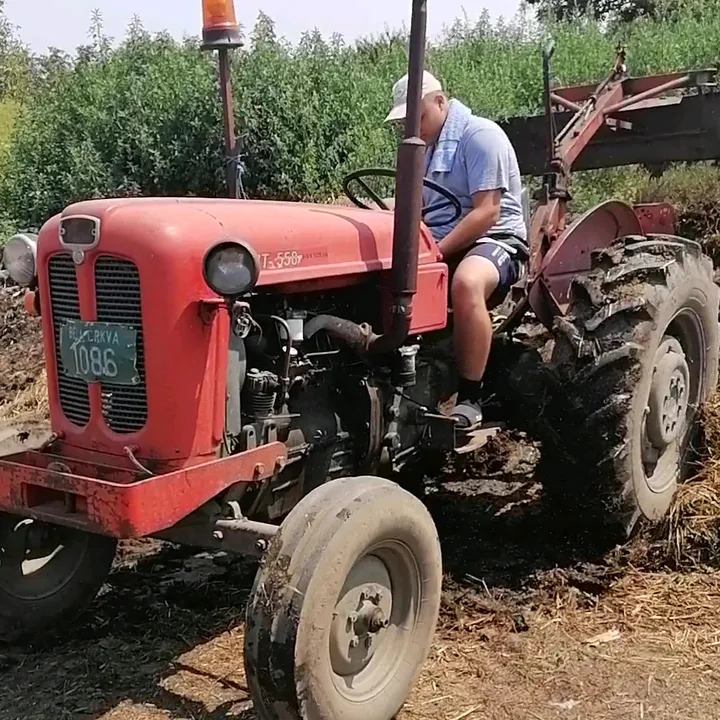 nikola.388