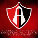 @academia.atlas.fc.nl