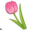 tulip.plays