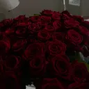 @suni_stk18