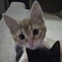 @fr3akbob6769