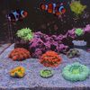 reeftok