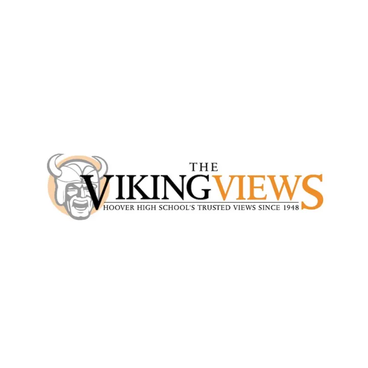 theofficialvikingviews