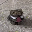 @jw8z._