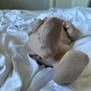 @chloebecomesmuma