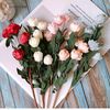 .rosefinds