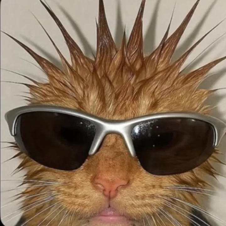 zoieocarter