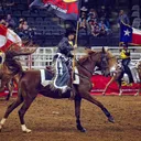 @thehorseandthehound