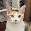 thecatmona