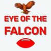 eyeofthefalcon2