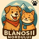 @blanosii.nordului