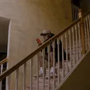 @mikehicksjr