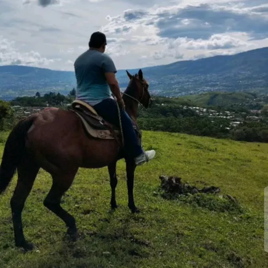 @javieralexisagude