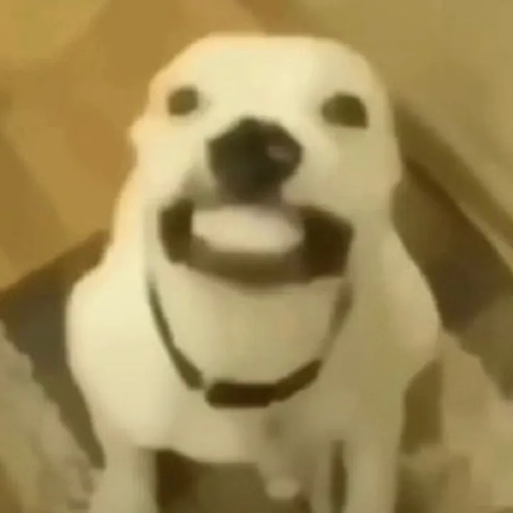 @sophhbeeb