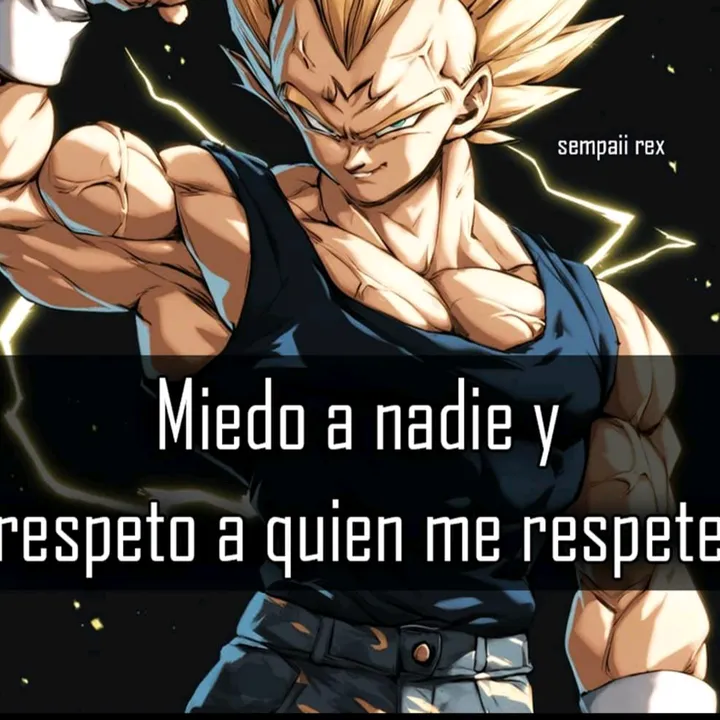 @arthurverver1