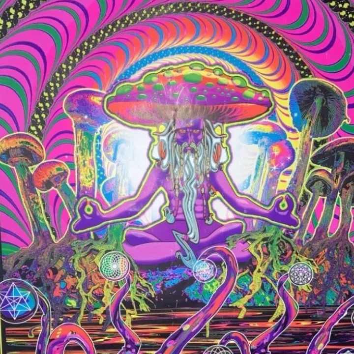 kl03____