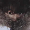 @writtenbyjiminn
