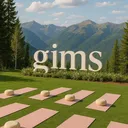 @gimsactivewear