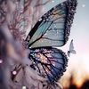mayam_r19