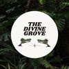 thedivinegroveshop