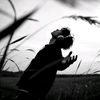 music_feels3