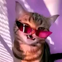 @torcikk