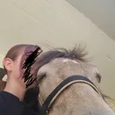 @georgia_may_and_horses.7