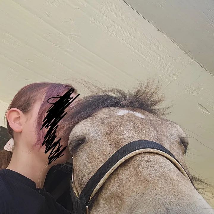 @georgia_may_and_horses.7