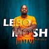 lebojumps