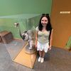 beevlogging