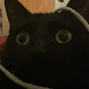 @doritosinmypockett