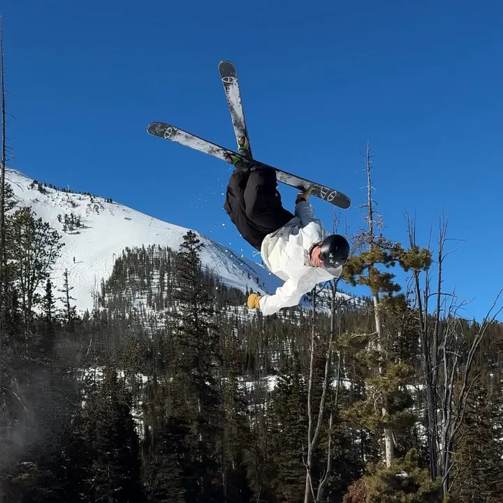 flatspin_