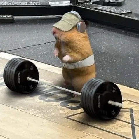 coquitojr69