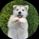 @ksjd106