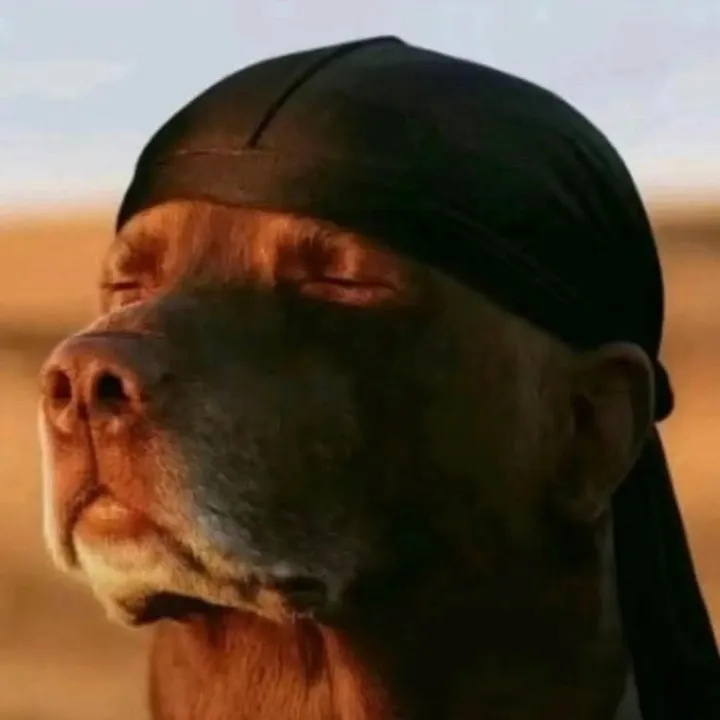 mr.smoto