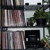 vinyl_vineyard