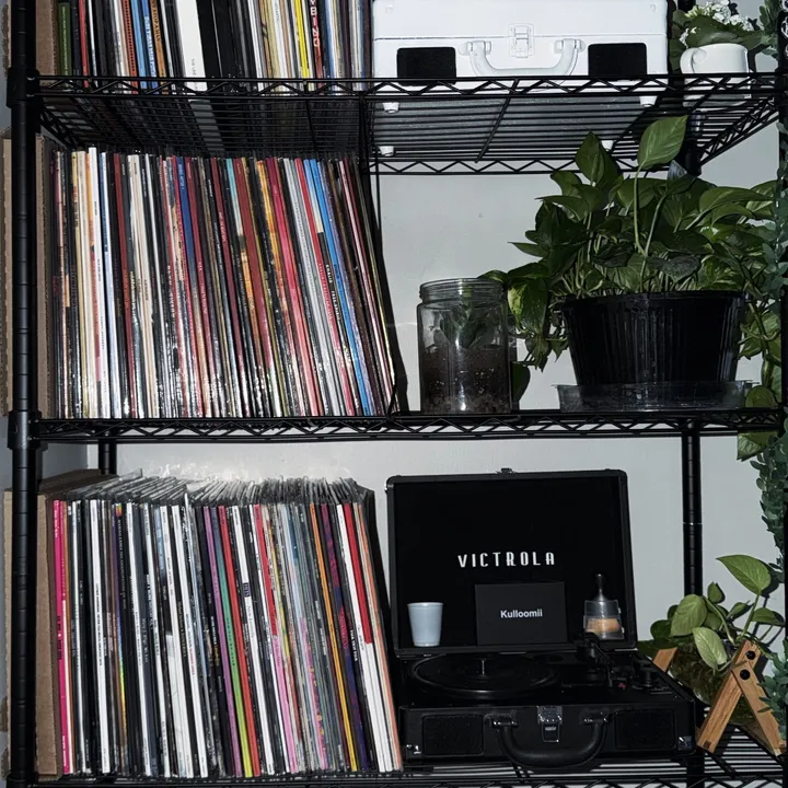 vinyl_vineyard