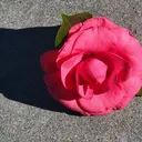 @hvzel.9512