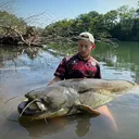 @accatfish