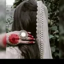 @rimshasajjadnizamani