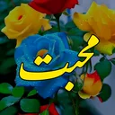 @noor_writes...555