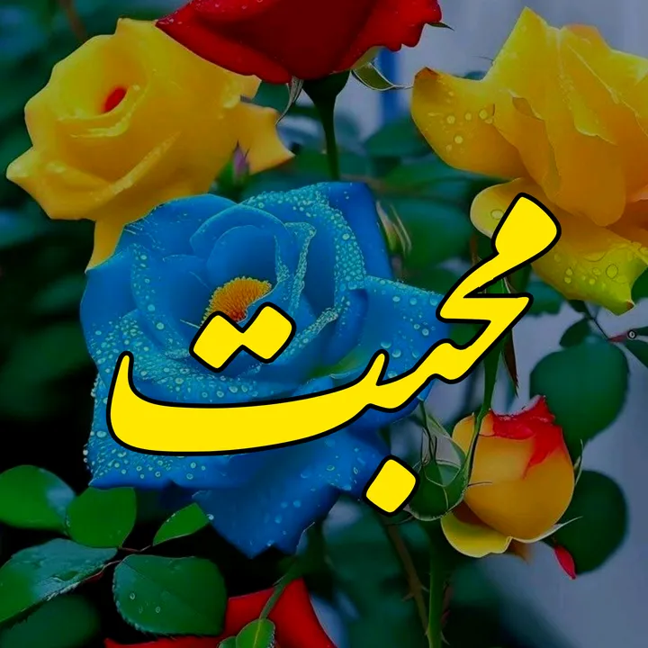 noor_writes...555