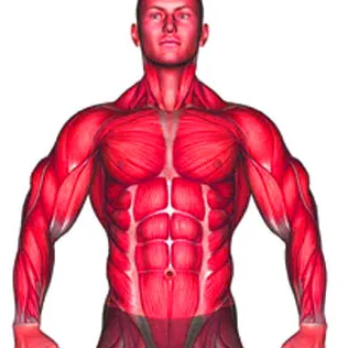 workout_zone34
